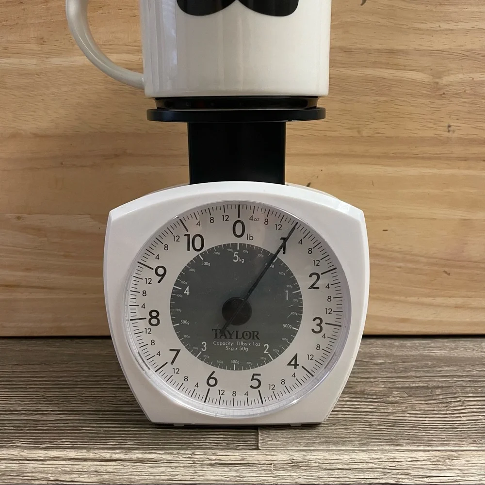 Pier 1 Imports Moustache Mug